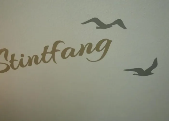 Stintfang Lejlighed Stinteck